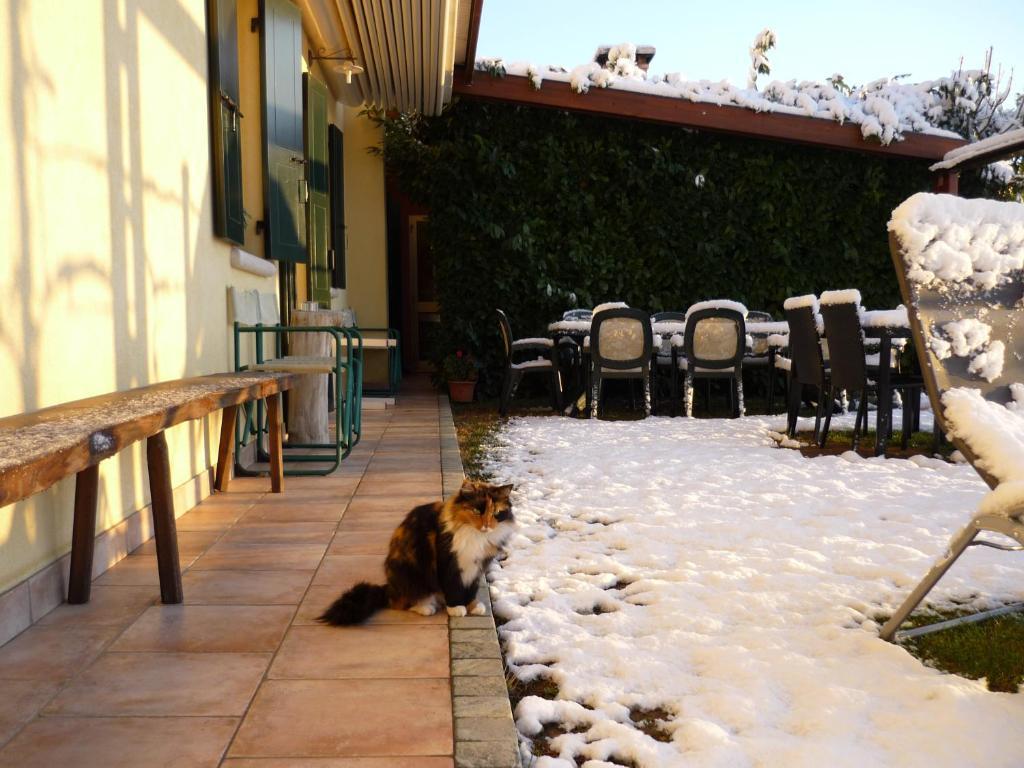 Sant'Andrea Agriturismo Con Cantina Martignago Vignaioli Asolo Prosecco Docg Wines Maser Εξωτερικό φωτογραφία