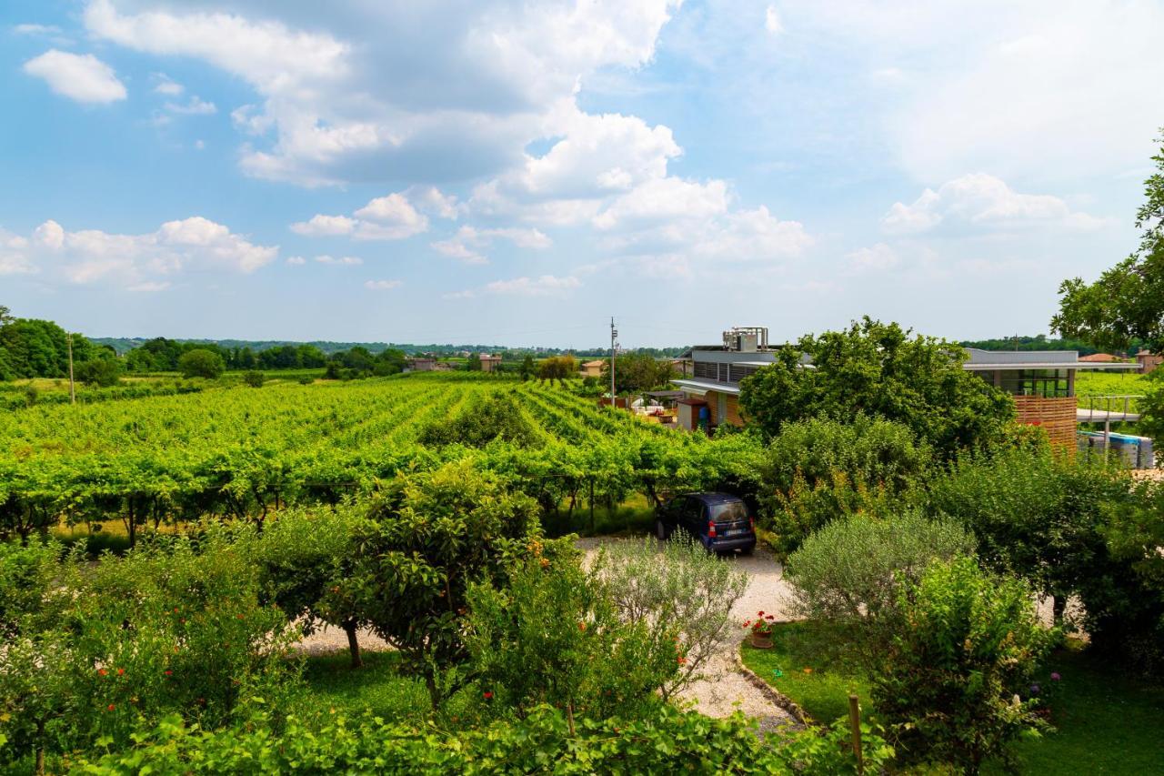 Sant'Andrea Agriturismo Con Cantina Martignago Vignaioli Asolo Prosecco Docg Wines Maser Εξωτερικό φωτογραφία
